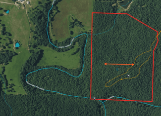 Missouri Hunting Property Bordering National Forest